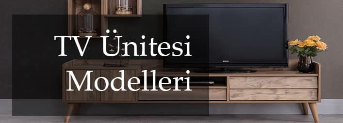 tv uniteleri - &Uuml;r&uuml;nler